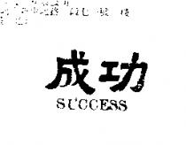 成功 SUCCESS