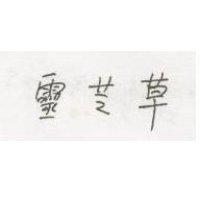 靈芝草