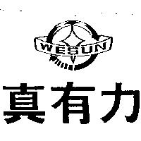 真有力及圖 WESUN