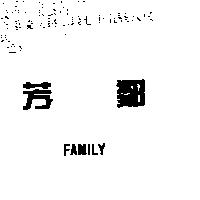 芳鄰 FAMILY