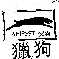 獵狗及圖 WHIPPET