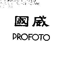 國威 PROFOTO