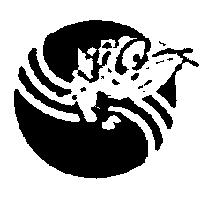 龍魚設計圖