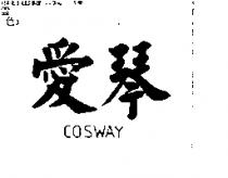 愛琴 COSWAY