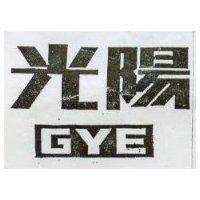 光陽 GYE