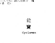 健寶 Cyclamen