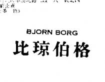 比琼伯格 BJORN BORG