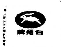 白兔牌及圖