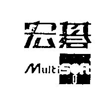 宏碁 MultiSoft
