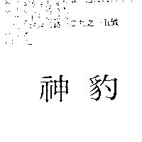 神豹