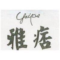 雅痞 Yaips