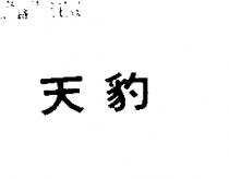 天豹