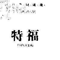 特福 TOFOKING