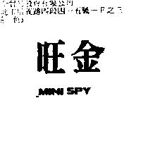旺金 MINI SPY