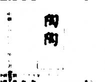 陶陶