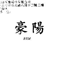 豪陽 BSM