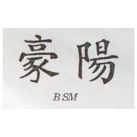 豪陽 BSM