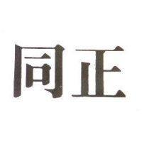同正