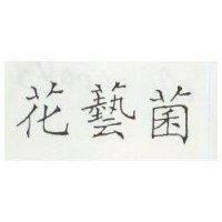 花藝菌