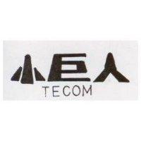 小巨人 TECOM