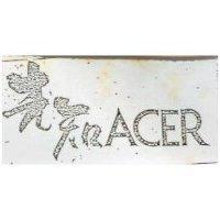 先知 ACER