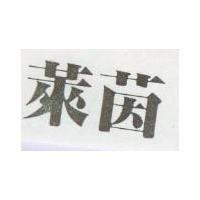 萊茵