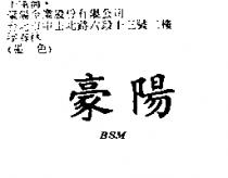 豪陽 BSM