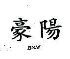豪陽 BSM