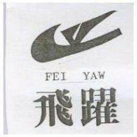 飛躍及圖 FEI YAW