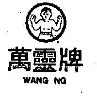 萬靈牌及圖