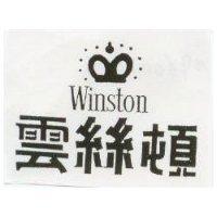 雲絲頓及圖 WINSTON