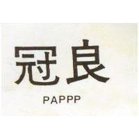 冠良 PAPPP