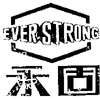 永固 EVER STORONG 