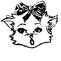 猫圖