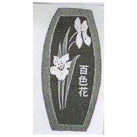 百色花及圖