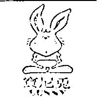 寶尼兔及圖 BUNNY