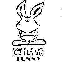 寶尼兔及圖 BUNNY