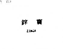 鋅寶 ZINGA