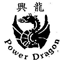興龍及圖案 Power Dragon