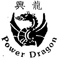 興龍及圖案 Power Dragon