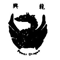 興龍及圖案 Power Dragon