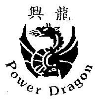 興龍及圖案 Power Dragon