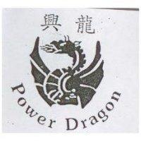 興龍及圖案 Power Dragon