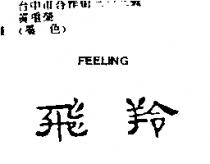飛羚 FEELING