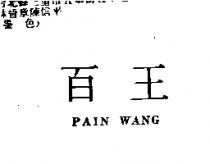 百王 PAIN WANG