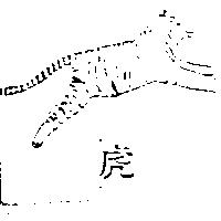 虎及圖