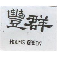 豐群 HOLMS GREEN