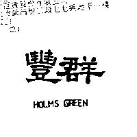 豐群 HOLMS GREEN