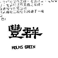豐群 HOLMS GREEN