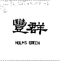 豐群 HOLMS GREEN
